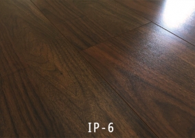外貿(mào)IP-6